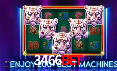 3466BET: A Experiência de Casino com Jogos de Mesa ao Vivo